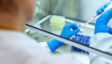 醫(yī)藥領域(yu)